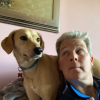 Coastal Recycling Employee Karen Dufty's profile photo