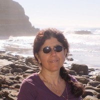 Seqirus Employee Edith Rosenberg's profile photo