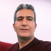 Loopico Employee Hamidreza Ahmadzadeh's profile photo