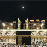 Industrial Knowledge Employee Asif Rafeeq's profile photo