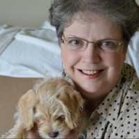 Self Employed Employee Sue Lemon's profile photo