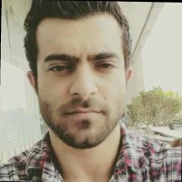 Tradeling Employee Saman Taheri's profile photo