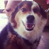 Raster Masters Employee Lisa C's profile photo