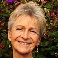 Cindy Pierce Email & Phone Number