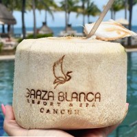 Garza Marketing and Sales Email & Phone Number
