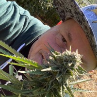 Mule Extracts Employee Rome Wood's profile photo