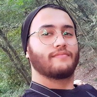 Node.js Foundation Employee Parsa Abhari's profile photo