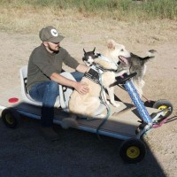 NeRD Employee Connor Seibel's profile photo