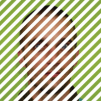 Folkwang Universität der Künste Employee Tom Baffi's profile photo