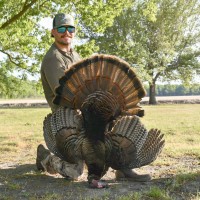 GEORGE HARMS CONSTRUCTION CO., INC. Employee Thad Wiseman's profile photo