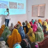 Avinash Sharma Email