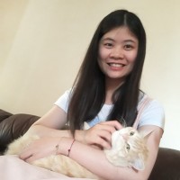 SAN Technologies Employee Lexin Li's profile photo