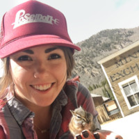 Jennie Burton Email & Phone Number
