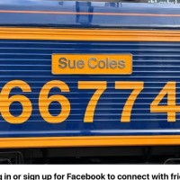 Kuehne+Nagel Employee Sue Coles's profile photo