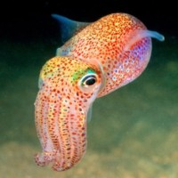 Dupont Employee John Marcone's profile photo