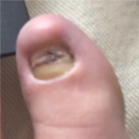 GOLDTOE® Employee Bobber Nonail's profile photo