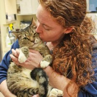 Kitsap Humane Society Employee Jen Stonequist's profile photo