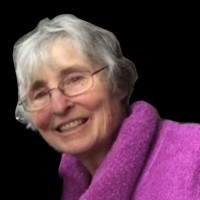 Wings Over the Rockies Air & Space Museum Employee Fran Rew's profile photo