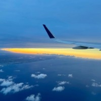 Jason Vicari Email & Phone Number