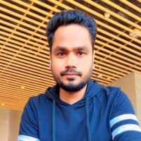 LogiQTrove LLP Employee Punit B.'s profile photo