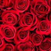 Exafy Employee Laiba Seher's profile photo