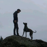 Citrus-Lime Limited Employee Patrick Clapp's profile photo