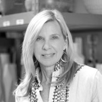 Visual Jill Interior Decorating & Home Staging Employee Jill McCoy's profile photo