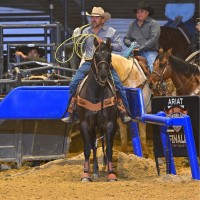 Bodark Solutions LLC Employee Sergio Hernandez's profile photo