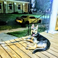 Kourtney Davis Email & Phone Number