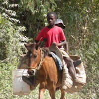 Homes for America, Inc. Employee Cathy Wallick's profile photo