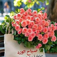 Dubai Carmel School Employee Wafaa Npqh's profile photo