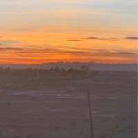 JB Sittner Trucking Employee Gene Williams's profile photo