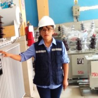 Electrocentro Employee Flor Quispe Chipana's profile photo
