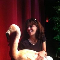Nina Fascione Email & Phone Number