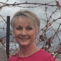 Altair Instruments Employee Paula Kent's profile photo