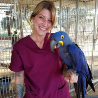 Jessica Magnotti Email & Phone Number