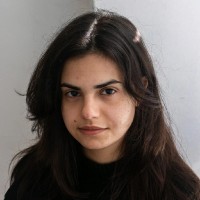Noa Lev Email