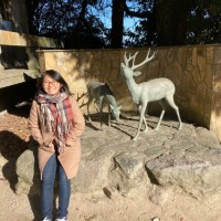 Daeun Lee Email
