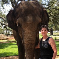 Ford Idaho Center Employee Karen Chandler's profile photo