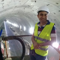 Mohamed Abd-Elhamid Email