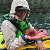 GUY Engineering Services, Inc. Employee Diana Askew's profile photo