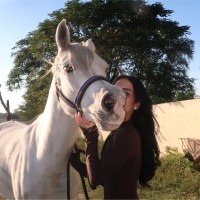 The Art Institutes Employee Noor Hammad's profile photo