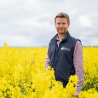 Hutchinsons Employee Lewis McKerrow's profile photo