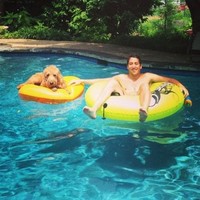 Advanced Window,Inc. Employee Adam Schwadron's profile photo