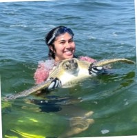 SEA TURTLE CONSERVANCY, INC. Employee Madeleine Khoury's profile photo