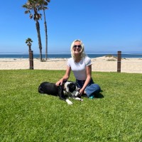 Vanguard Classical School - East Employee Kimberly Foster's profile photo