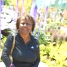 Yvonne Daniely-Wright