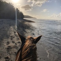 Lithia & Driveway Employee Michelle Bisson's profile photo