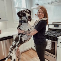 IndyHumane Employee Morgan Luna's profile photo