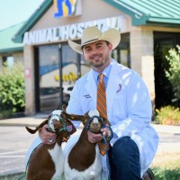 Vetster Employee Nick Prather's profile photo